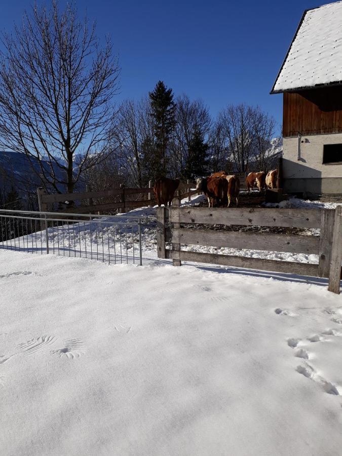 Ferienwohnung Hinterramsebn Vorderstoder Exterior foto